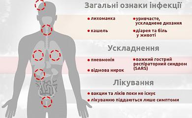 Хто придумав везти хворих на коронавірус на Обухівщину: версія (відео)