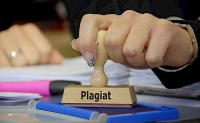 Обухівських "слуг народу" звинуватили у плагіаті і некомпетентності
