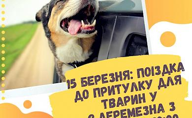 Тур вихідного дня в Обухові пропонує поїздку до притулку: весело і корисно