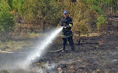 В Обухівському районі знову горять торфовища