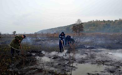 На Обухівщині продовжує горіти торф і починають хати (відео)