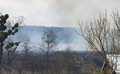 Палили очерет - спалили півсела: рятувальники ліквідували пожежу на Обухівщині
