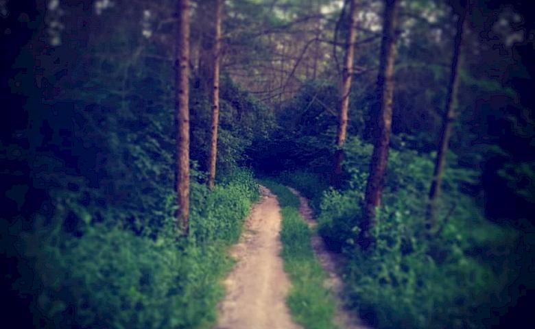 "Обухівські Карпати" - місцева "долина духів"