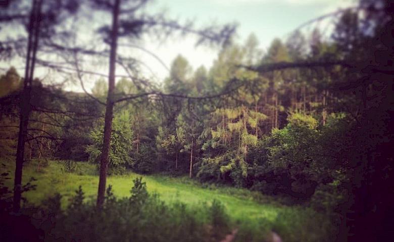 "Обухівські Карпати" - місцева "долина духів"