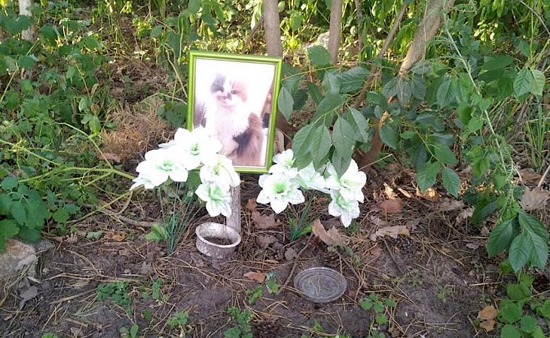 Кладовище домашніх тварин в Обухові: безсиле "місце сили"