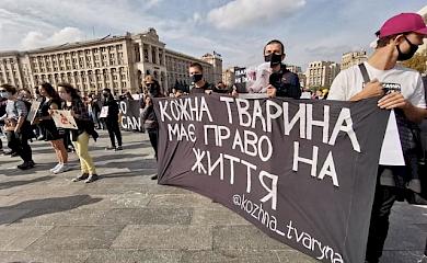 Зоозахисники озвучили свою вимоги до влади