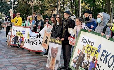 За 1,5 року влада не ухвалила жодного зоозахисного законопроєкту