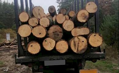 Поліція Обухівщини вилучила незаконно зрубану деревину