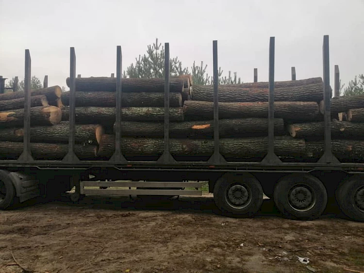 Поліція Обухівщини вилучила незаконно зрубану деревину