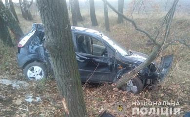 В Обухівському районі в результаті ДТП загинув водій