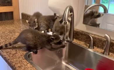Де в Обухові відключать воду