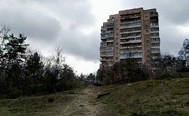 Обухівчани гуртуються проти вирубки дерев