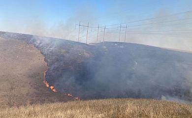 На Обухівщині масові пожежі: 3 лише за останню добу