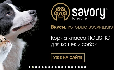 Как выбрать зоомагазин