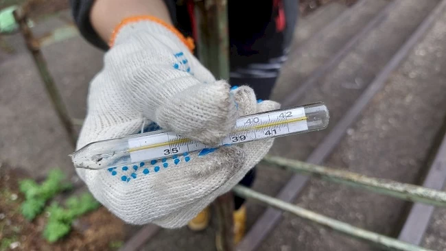 Розбитий термометр та використані шприци: що знайшли на Обухівщині під час толоки