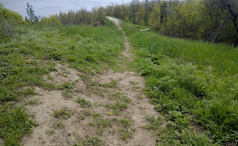 Мис на городищі Святополчому