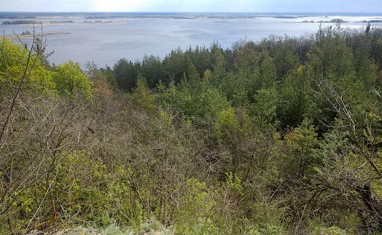Вид на Дніпро з городища Святополчого
