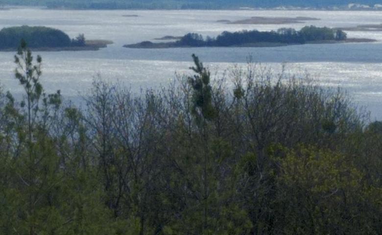 Городище, трава і вода