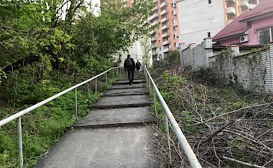 Обухівські нетрі, на котрі не звертає увагу місцева влада