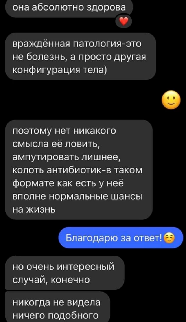 На Обухівщині зафіксували пташку з 4 лапами: рідкісна патологія