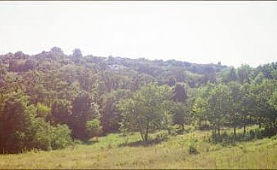 Магия Волчьей горы