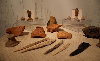 В музее на Обуховщине показали костяные иглы трипольцев