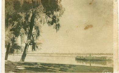 Прямиком по полям