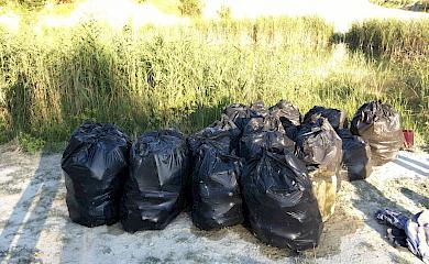 Фейхоа. Финал. Фабула