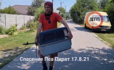 Парализованного пса из-под Обухова спасли от смерти