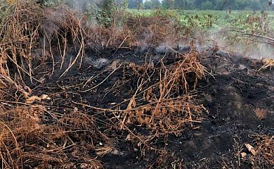 На Обуховщине горят торфяники