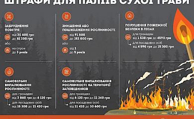 Обуховчанам напоминают о штрафах для поджигателей сухостоя