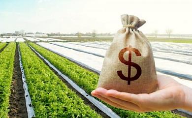 Цена на землю в Обуховском районе будет расти