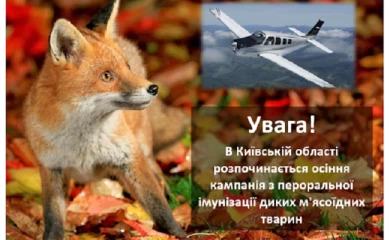 На Обуховщине проведут иммунизацию от бешенства диких животных