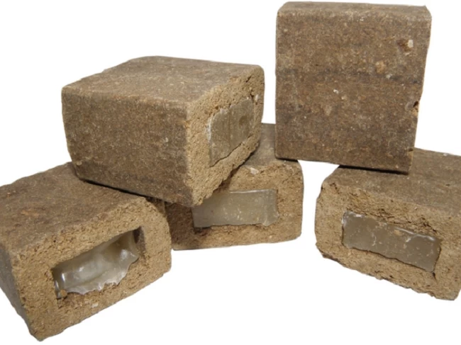 На Обуховщине проведут иммунизацию от бешенства диких животных