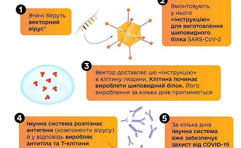 Які типи вакцин проти COVID-19 використовують в Україні: список