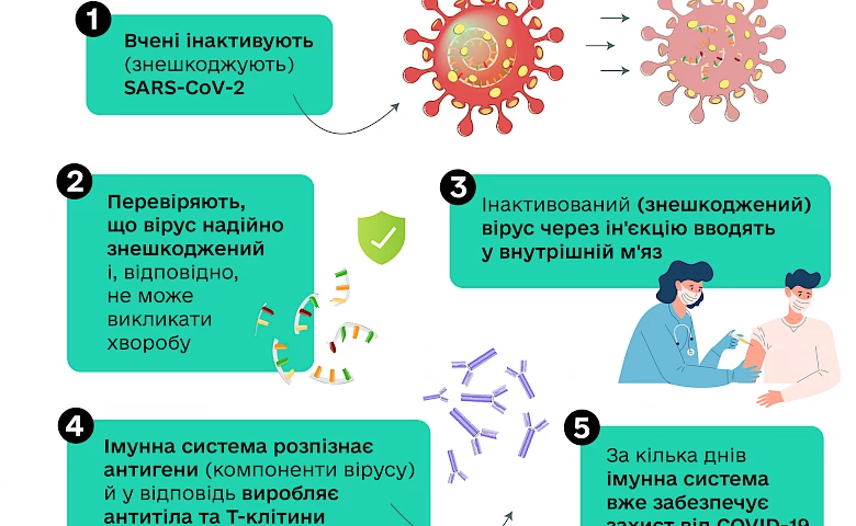 Які типи вакцин проти COVID-19 використовують в Україні: список