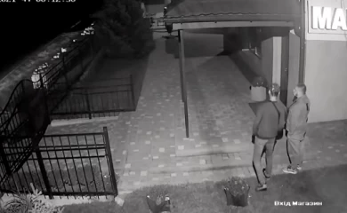 Зрізали дерева: в Обухові розшукують крадіїв