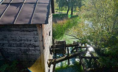 Столетняя водяная мельница на Обуховщине - единственная в Киевской области?
