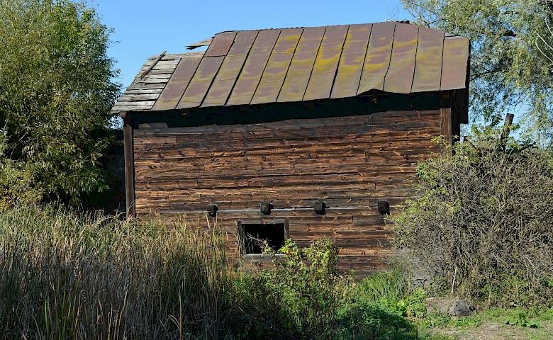 Столетняя водяная мельница на Обуховщине - единственная в Киевской области?