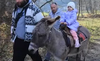 Віслюча ферма на Обухівщині - туристичний магніт краю