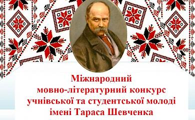 Учениця обухівського ліцею перемогла на міжнародному конкурсі