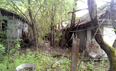 В Обухівському районі знайшли село без жителів