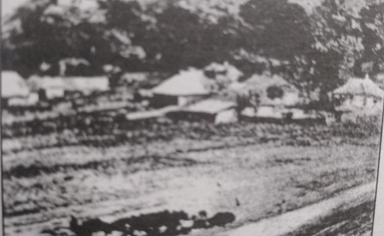 Дівич-гора, ч. 1: могильник, городище, селище