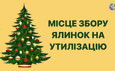 У Василькові з'являться пункти збору новорічних ялинок