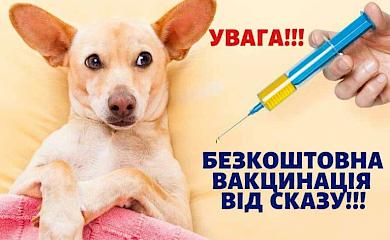 Обухівський район: в Українці відбудеться щеплення домашніх тварин від сказу