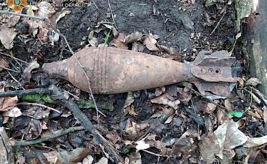 В Ходорові піротехніки знищили вибухонебезпечні предмети