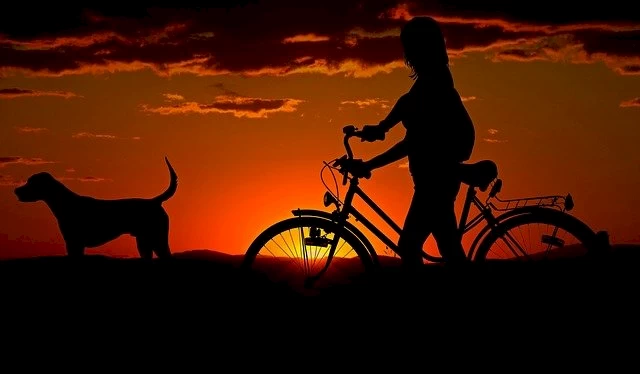 Популярный и экологичный: почему велосипеды &ndash; транспорт будущего