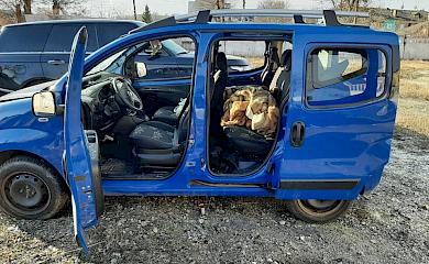 На блок-посту в Кагарлику затримали мародерів