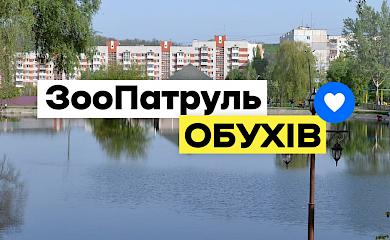 Обухівський Зоопатруль рятуватиме покинутих тварин