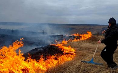 Спалювання сухостою тепер карається як диверсія